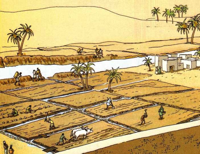 agricoltura_mesopotamia.JPG (137309 byte)