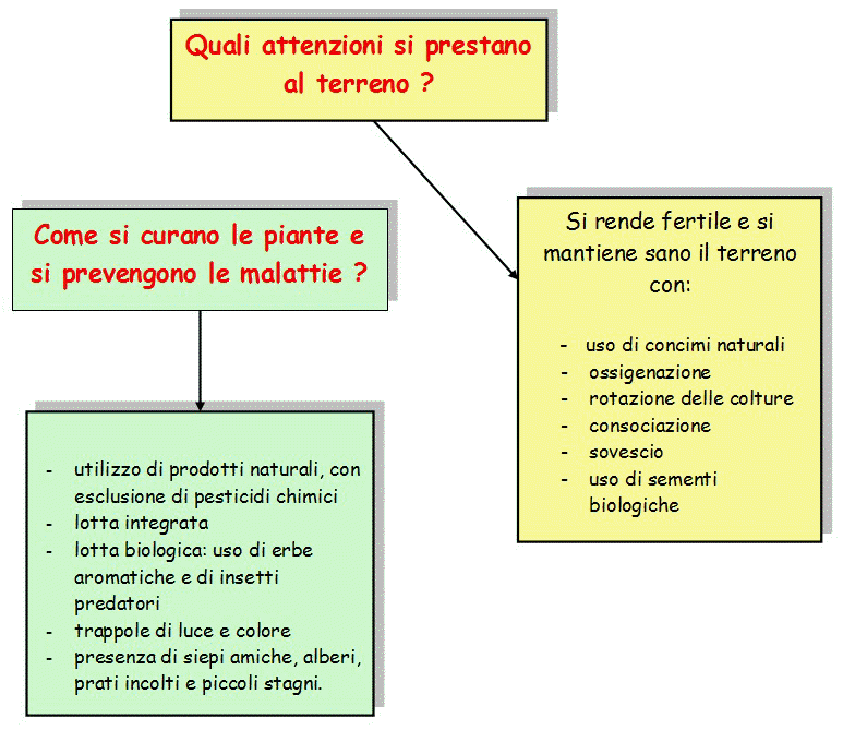 schema_agri_bio.jpg (97350 byte)