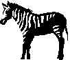 zebra.wmf (5860 byte)