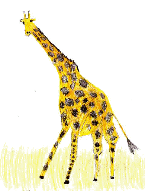 giraffa.jpg (30463 byte)